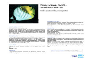 poisson papillon « cocher - IFRECOR Nouvelle
