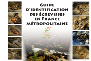 Guide d`identification - Les services de l`Etat dans le Cantal