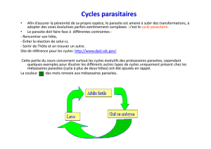 Cycles parasitaires