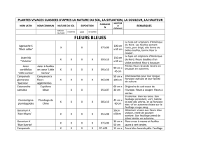 Les plantes vivaces classement complet