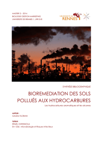 bioremediation des sols pollués aux hydrocarbures