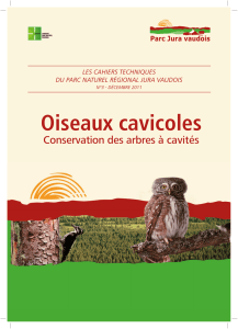 Oiseaux cavicoles - Parc Jura vaudois