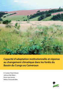 Capacité d`adaptation institutionnelle et réponse au changement