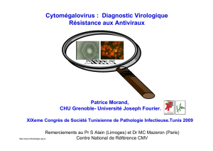 Cytomégalovirus : Diagnostic Virologique Résistance aux Antiviraux