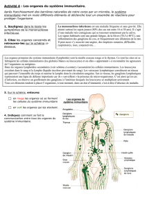 Activité 4 : Les organes du système immunitaire.