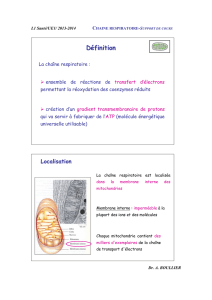 Chaine respiratoire 2013-2014