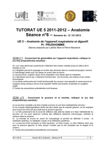 TUTORAT UE 5 2011-2012 – Anatomie