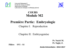Révision du cours Module M2 - Faculté des Sciences de Rabat