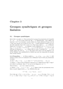 Groupes symétriques et groupes linéaires