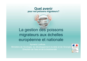 La gestion des poissons migrateurs aux échelles européenne et