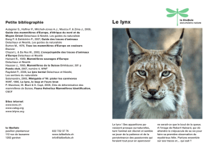 Le lynx - La Libellule