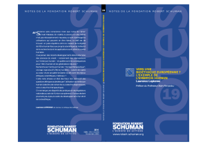 3Le Diagnostic - La Fondation Robert Schuman