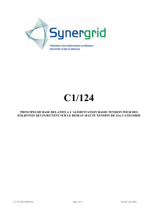 C1/124 - Synergrid