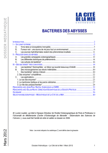 bacteries des abysses - Médiathèque de La Cité de la Mer