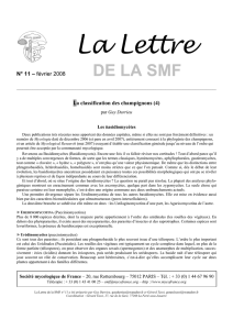 Lettre n° 11 (février 2008) - Société Mycologique de France
