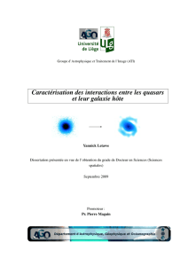 Caractérisation des interactions entre les quasars et leur galaxie hôte