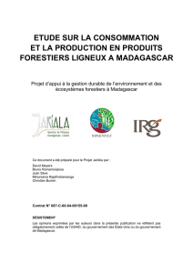 etude sur la consommation et la production en produits forestiers