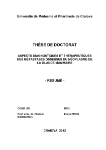 thèse de doctorat