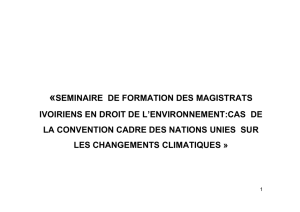 seminaire de formation des magistrats ivoiriens en droit de l