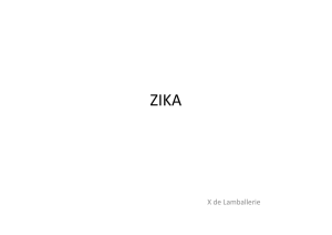 Virus Zika (X. de Lamballerie)
