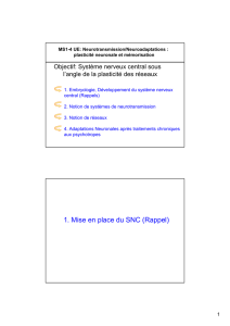 1er cours MS14 Vilpoux