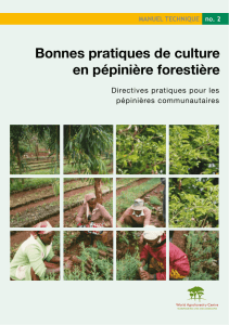 Bonnes pratiques de culture en pépinière forestière