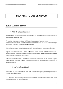 prothese totale de genou - Centre Orthopédique de Provence