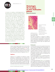 Histologie de la peau et des follicules pileux - iPubli