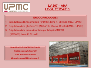 Cours1 Endocrino 5-4-13