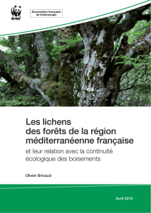 Les lichens des forêts de la région