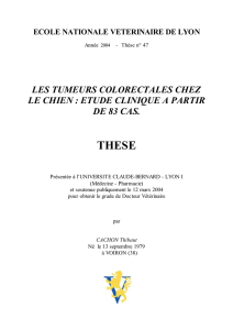 Thèse n° 047 / 2004