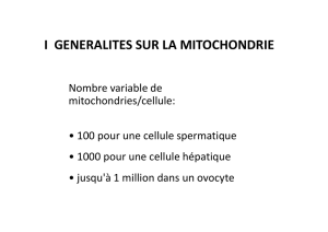 i generalites sur la mitochondrie