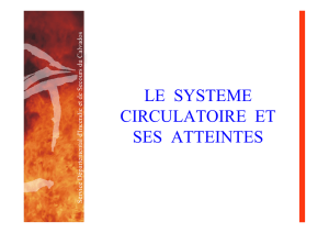 SAP 1 Système circulatoire