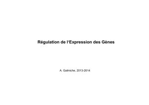 2. Regu Expression Genes