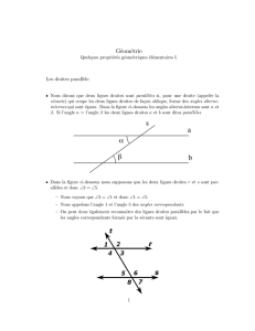 Géométrie I : droites parallèles