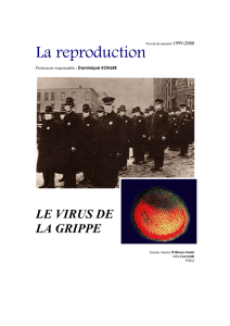 Document PDF - Gymnase Auguste Piccard