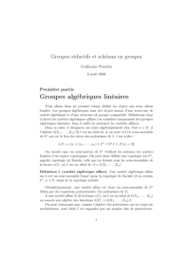 Groupes algébriques linéaires