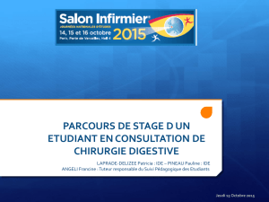 T&eacute;l&eacute;charger au format pdf