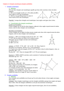 Chapitre X :Triangles isométriques-triangles semblables I
