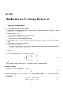 Chapitre 1 Introduction à la Mécanique Quantique