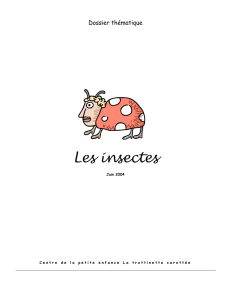Les insectes - La trottinette carottée
