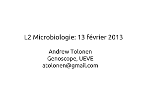 E. coli - Tolonen Lab