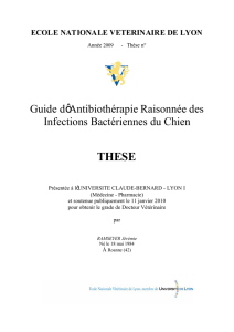 Guide d`Antibiothérapie Raisonnée des Infections Bactériennes du