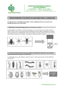 protocole d`envoi - Laboratoire de Diagnostic Insecte