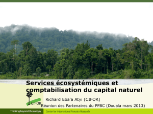 Services écosystémiques et comptabilisation du capital naturel