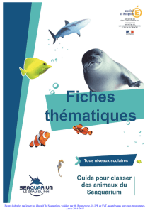 guide pour classer les animaux du seaquarium