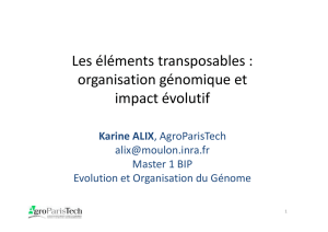 Les éléments transposables : organisation génomique et impact