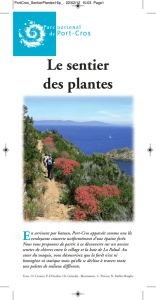 Le sentier des plantes - Parc national de Port-Cros