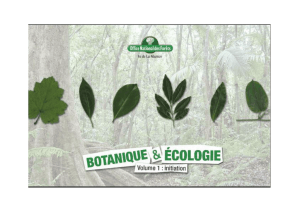 Le guide Botanique et Ecologie à La Réunion - Volume 1