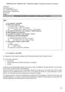 Reproduction Dr Saveanu 8 pages Métabolisme des lipides